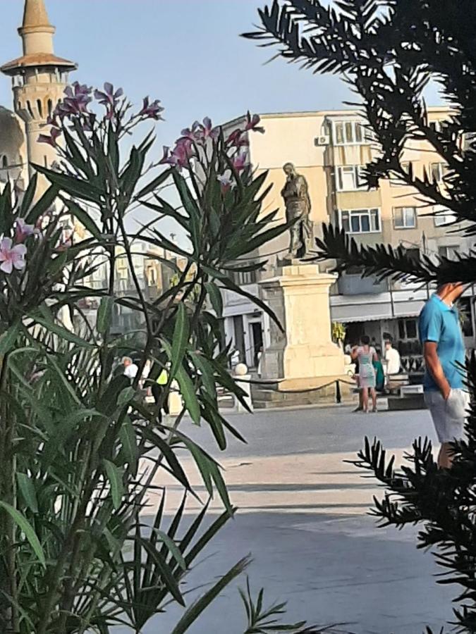 Alnis Boutique Villa 康斯坦察 外观 照片